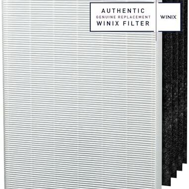 Genuine Winix 113250 Replacement Filter E for P450 Air Purifier – White/Black